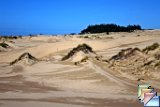 Oregon Sand Dunes